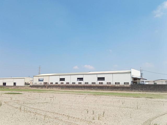 高雄土地職人路竹下坑近交流道大面寬方正美農地 照片 1