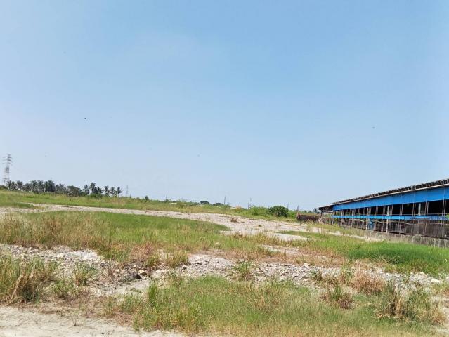 高雄土地職人路竹下坑近交流道大面寬方正美農地 照片 4