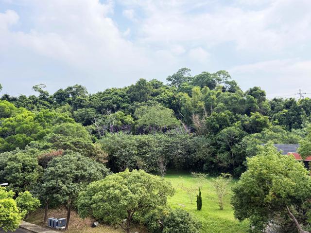 新竹房仲豐哥 聯華山莊種子島嶼邊間獨棟電梯別墅 照片 10