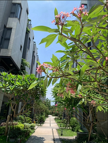 桃園夫妻房仲 深耕_百坪電梯豪墅 照片 12