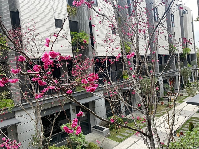 桃園夫妻房仲 深耕_百坪電梯豪墅 照片 10