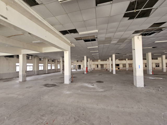 八德市區2182坪土地廠房|附辦公宿舍|桃園房仲高手 照片 9