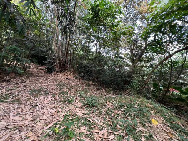 埔里房仲林阿姐 埔里溪南大地坪農地 照片 4
