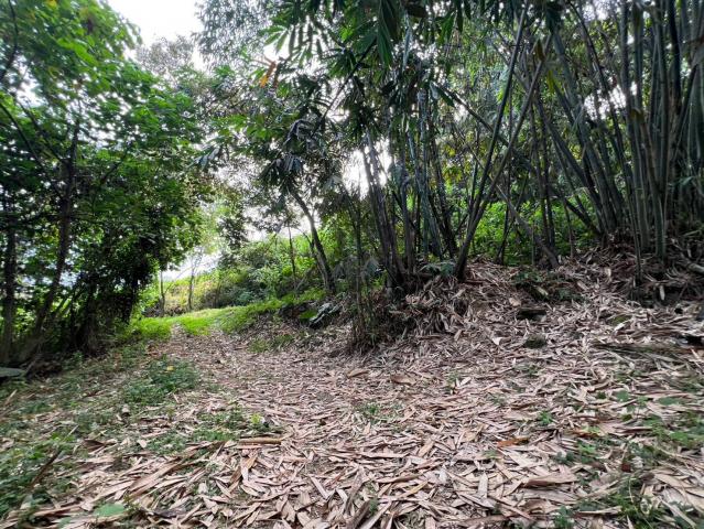 埔里房仲林阿姐 埔里溪南大地坪農地 照片 5
