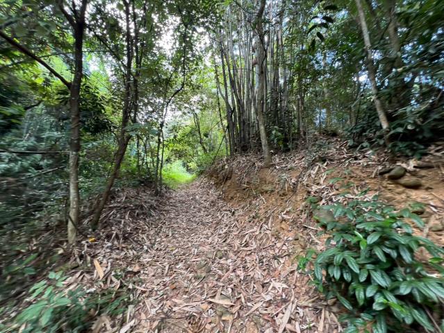 埔里房仲林阿姐 埔里溪南大地坪農地 照片 6