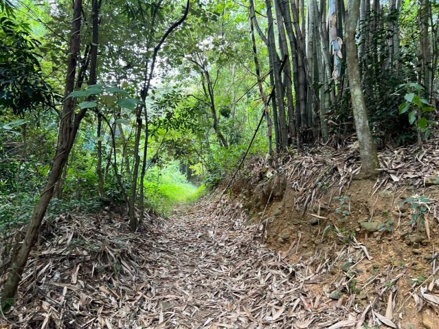 埔里房仲林阿姐 埔里溪南大地坪農地 照片 7