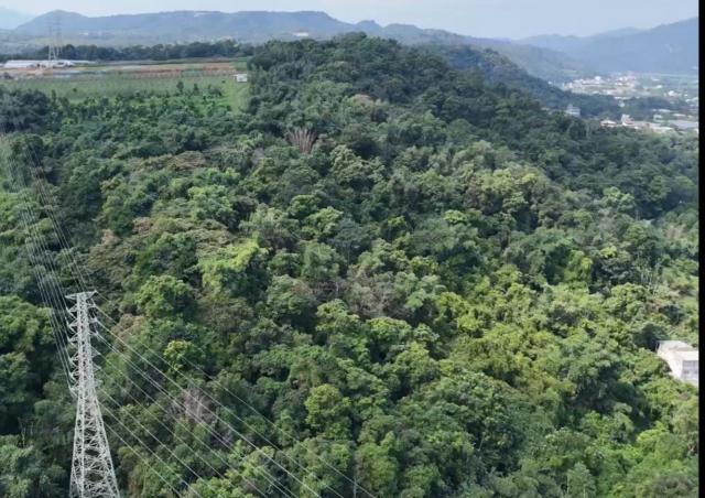 埔里房仲林阿姐 埔里溪南大地坪農地 照片 9