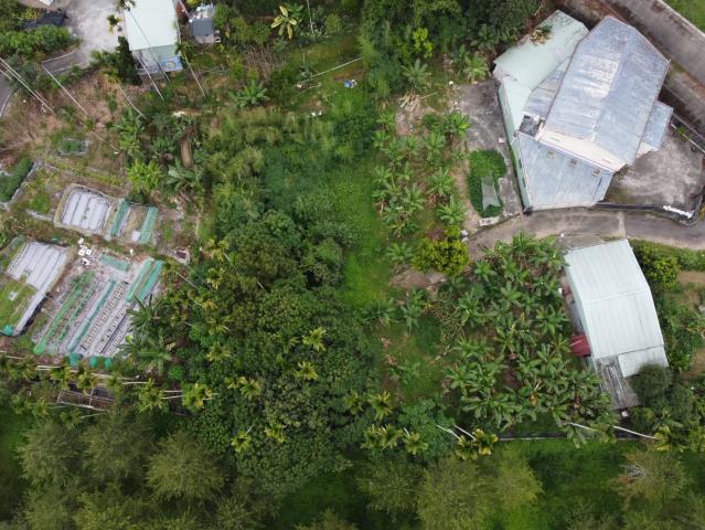 埔里房仲林阿姐 鄉村平坦田地+建地 照片 13