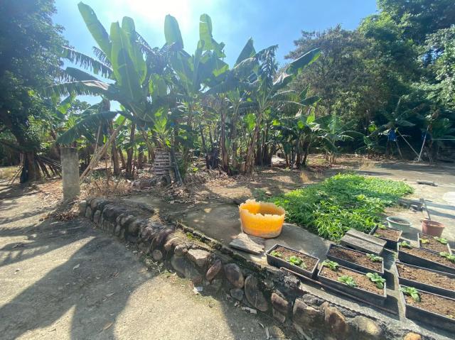 埔里房仲林阿姐 鄉村平坦田地+建地 照片 7