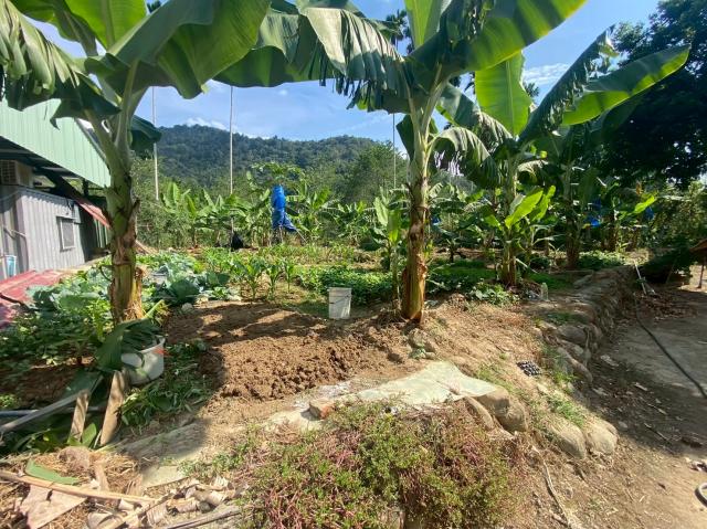 埔里房仲林阿姐 鄉村平坦田地+建地 照片 10