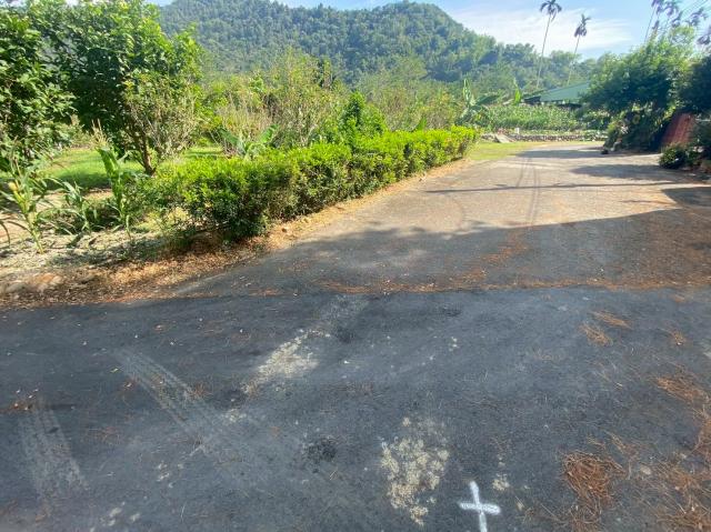 埔里房仲林阿姐 鄉村平坦田地+建地 照片 2