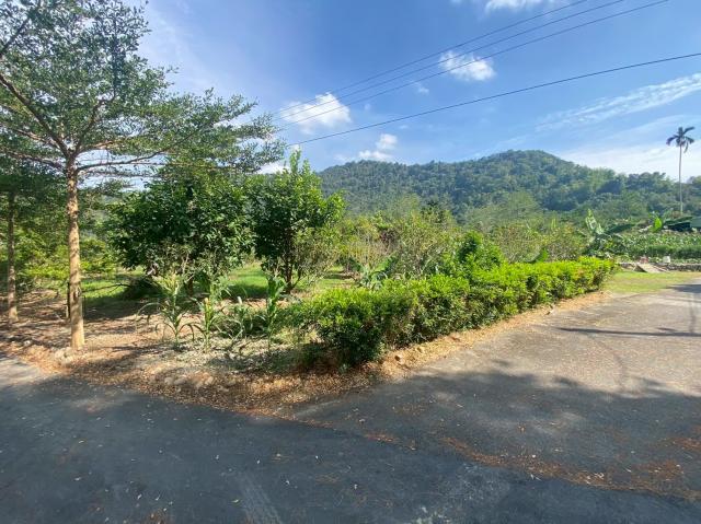 埔里房仲林阿姐 鄉村平坦田地+建地 照片 3