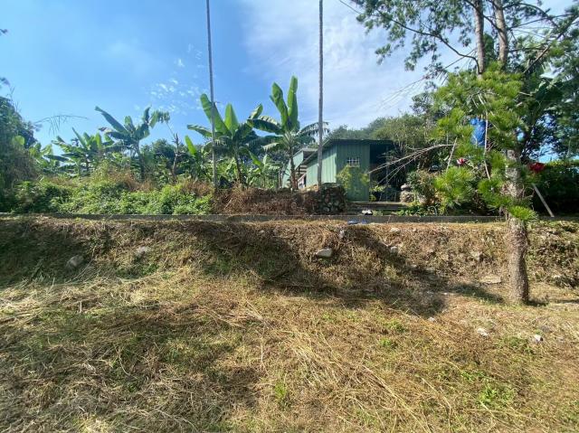 埔里房仲林阿姐 鄉村平坦田地+建地 照片 9