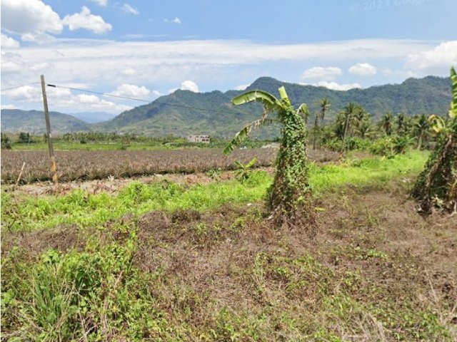 高雄房地專家 旗山大林低總價農地 照片 1