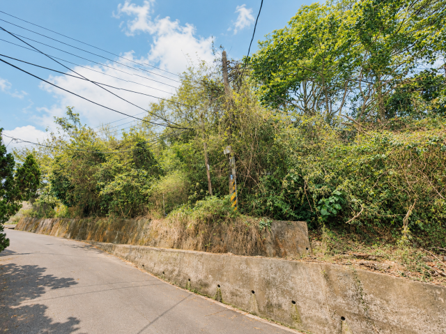 高雄房地專家 旗山低總價丙建 照片 2