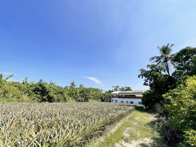 高雄房地專家 近嶺口交流道臨路1.4分農地 照片 4