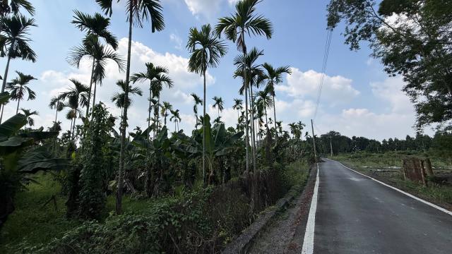 屏東房地達人❤️高樹舊寮山水秘境・大型休閒農地|交通動線便利 照片 7