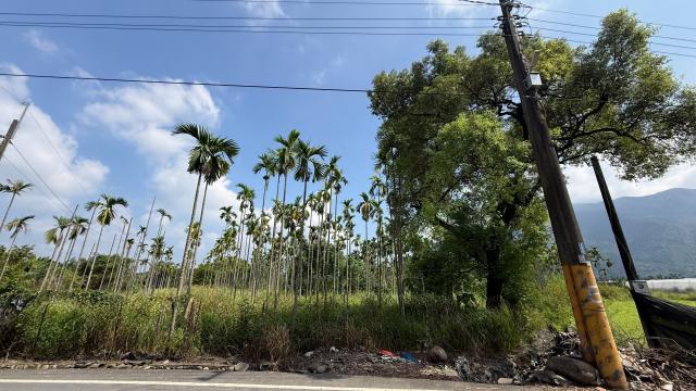 屏東房地達人❤️高樹舊寮山水秘境・大型休閒農地|交通動線便利 照片 17