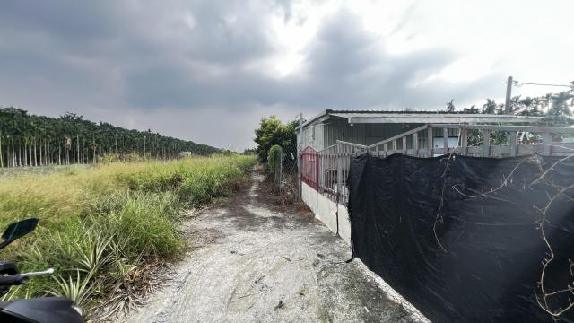屏東房地達人❤️內埔福泉巷熱帶水果園+資材室|有水、有電| 照片 3