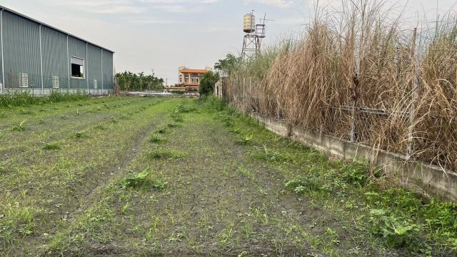 屏東房地達人❤️萬丹雙面路農建地|地形方正|近萬市區|降價囉↘︎ 照片 5