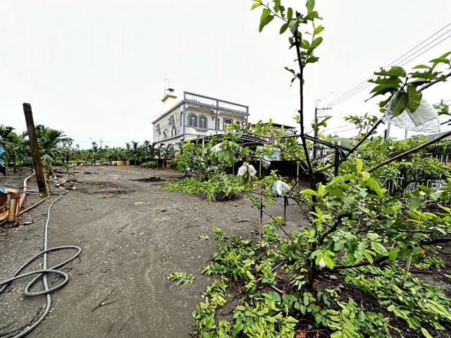 屏東房地達人❤️崁頂超好用建地|交通方便|四通八達|大路旁 照片 4