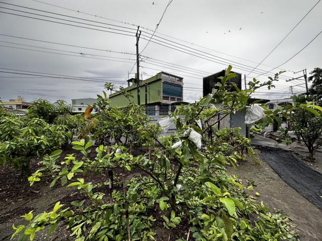 屏東房地達人❤️崁頂超好用建地|交通方便|四通八達|大路旁 照片 12