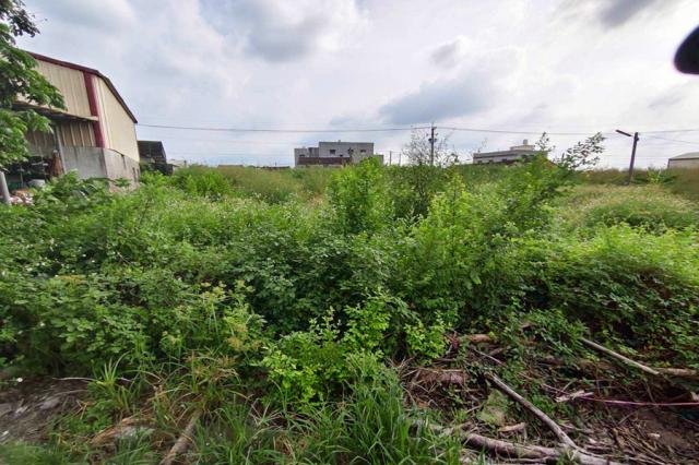嘉義房仲地政士H1669溪口游厝漂亮建地 照片 8