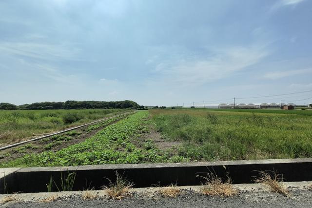 嘉義房仲地政士O2249太保高鐵大道旁農地☆ 照片 5