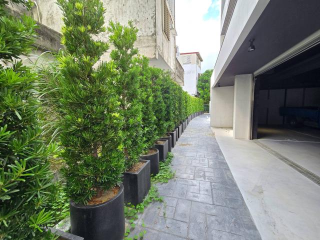 花蓮房仲專家 永慶蕙菱 拉菲爾後站兩房平車 照片 3