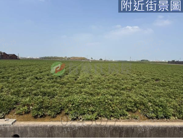 雲林土地 元長近村庄大面寬好耕作農地 照片 1
