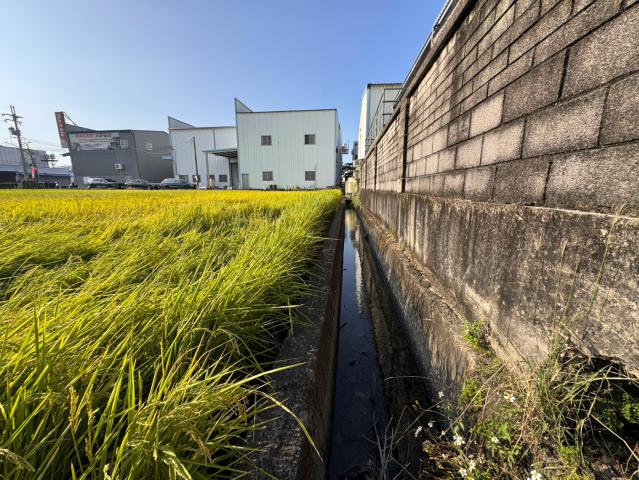 霧峰房屋土地買賣烏日正溪南路大面寬40米美農地 照片 4