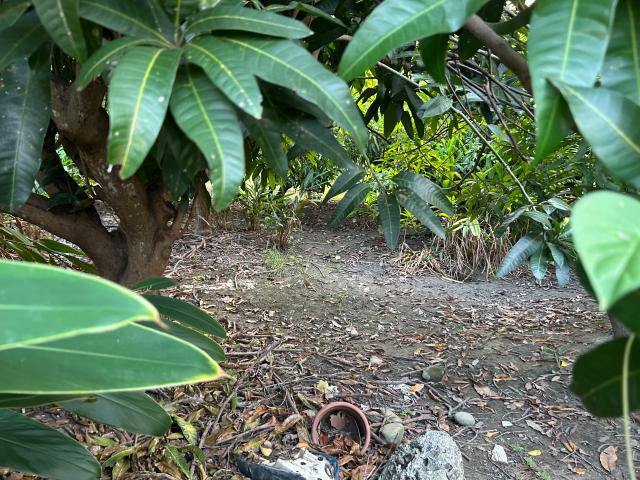 台南房地買賣 永康創意園區旁乙工(專) 照片 2