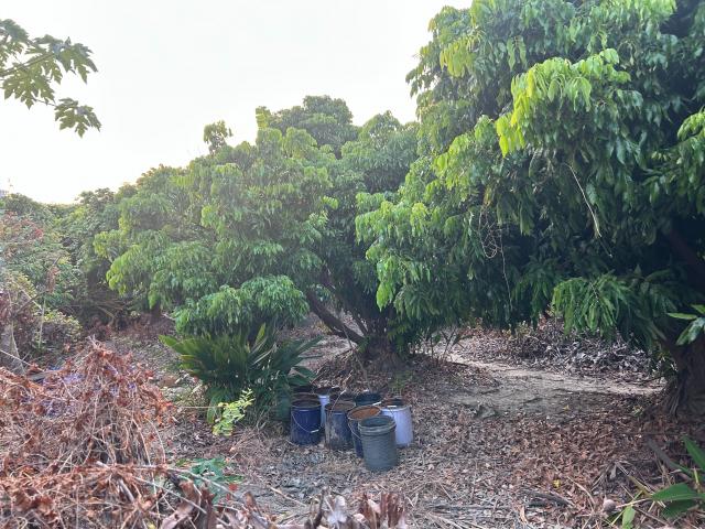 台南房地買賣 永康創意園區旁乙工(專) 照片 7