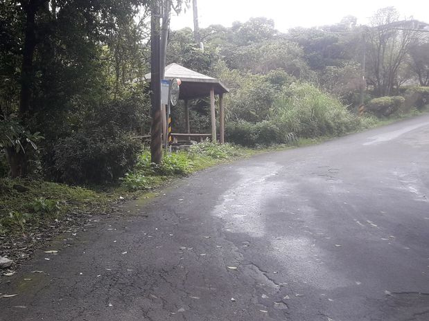 瑞士山莊大面積建地 照片 2