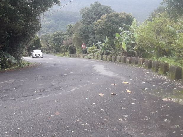 瑞士山莊大面積建地 照片 4