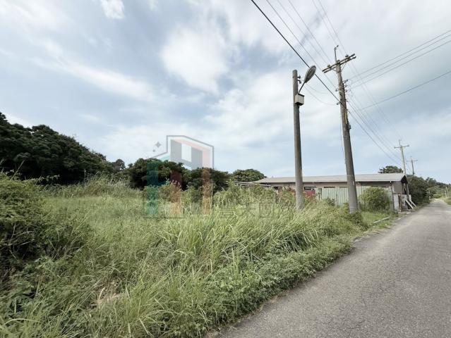 中壢好房專家 【專】新豐近台61西濱公路方正美農地 照片 2