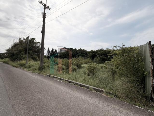 中壢好房專家 【專】新豐近台61西濱公路方正美農地 照片 3