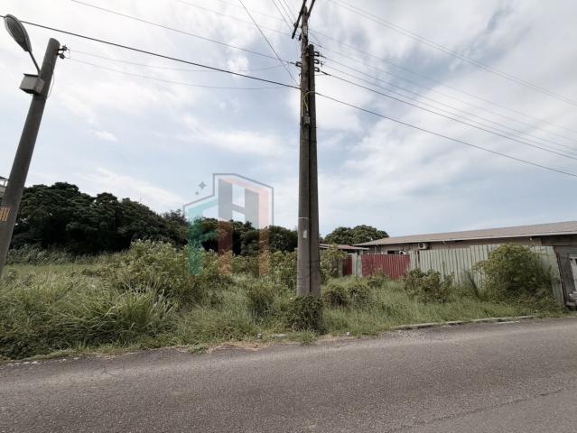 中壢好房專家 【專】新豐近台61西濱公路方正美農地 照片 4
