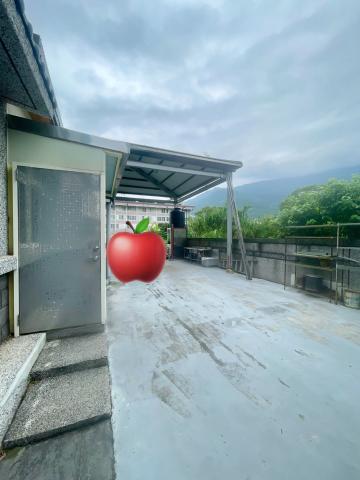 花蓮華夏透天 專任鬧中取靜稀有農舍釋出 照片 10