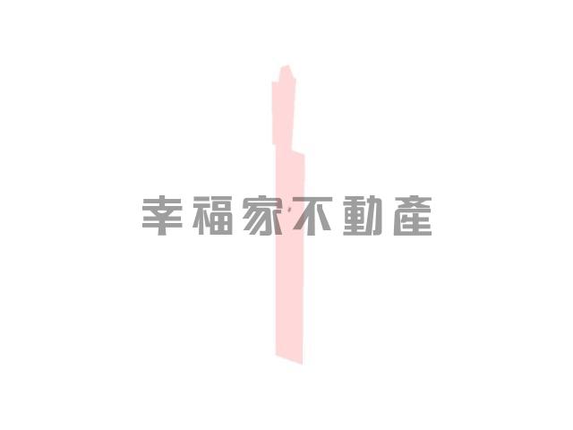 台南房仲晴媛 大內低總價開心農場A 照片 1
