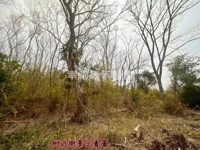 台南房仲晴媛 大內低總價開心農場A 照片 2