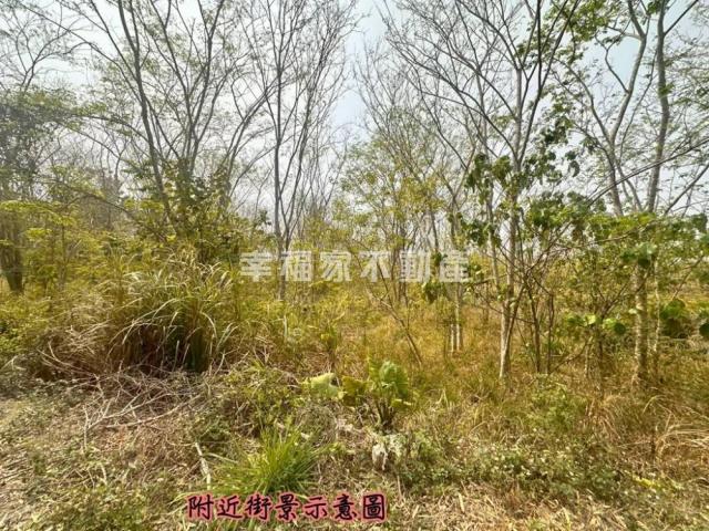 台南房仲晴媛 大內低總價開心農場A 照片 3