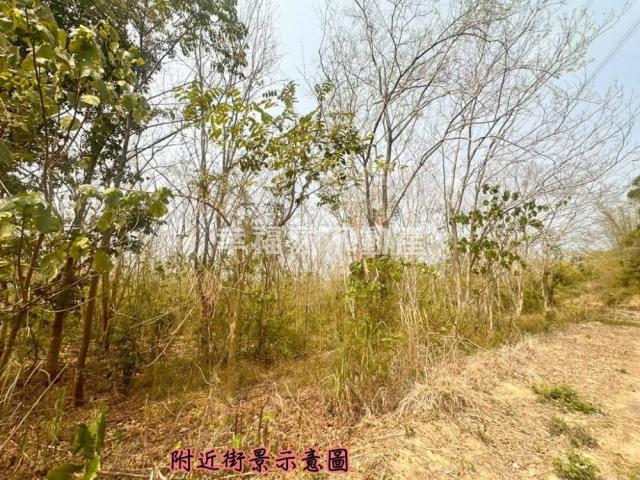 台南房仲晴媛 大內低總價開心農場A 照片 4