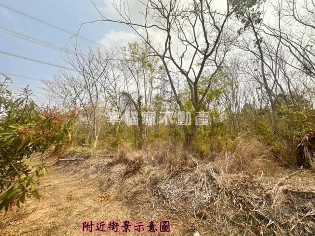 台南房仲晴媛 大內低總價開心農場A 照片 6