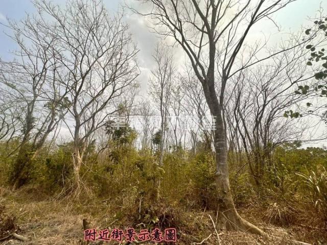 台南房仲晴媛 大內低總價開心農場A 照片 8