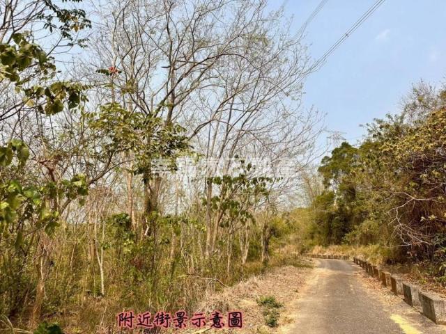 台南房仲晴媛 大內低總價開心農場A 照片 9