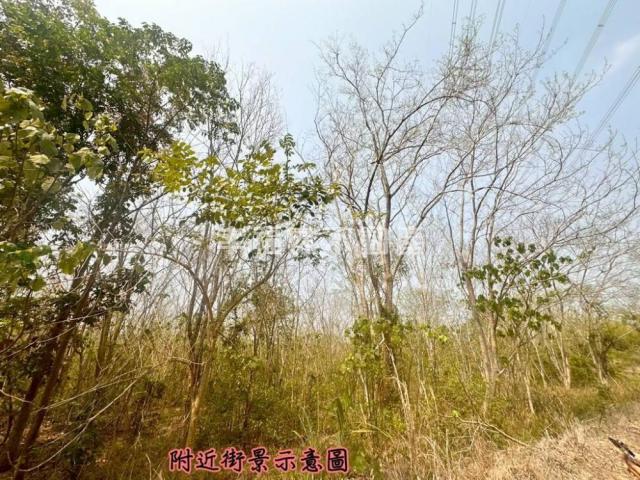 台南房仲晴媛 大內低總價開心農場A 照片 10