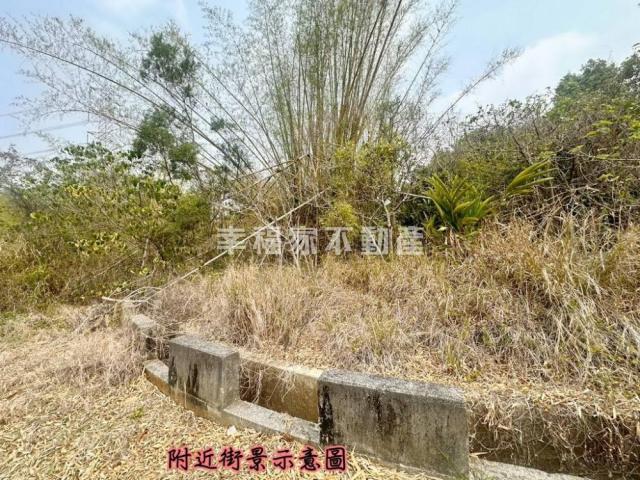 台南房仲晴媛 大內低總價開心農場A 照片 15