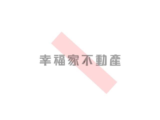 台南房仲晴媛 專-安定國中旁徵收區農地A 照片 3