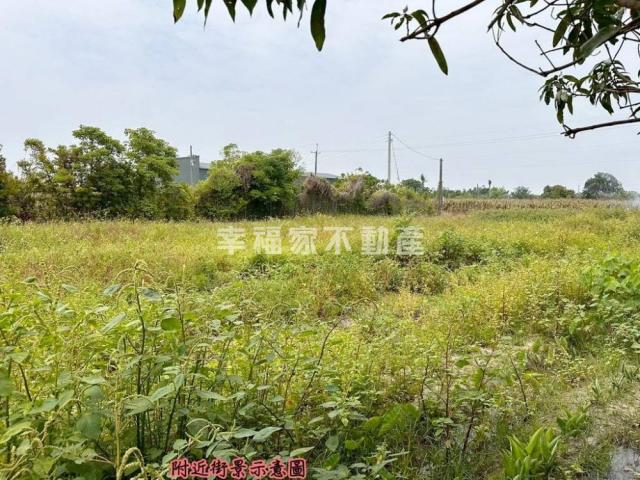 台南房仲晴媛 專-安定國中旁徵收區農地A 照片 10